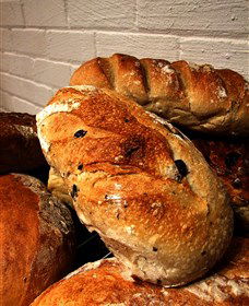 Bakehouse On Park - Accommodation Gold Coast 3