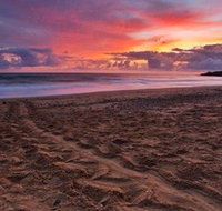 Mon Repos Beach - Accommodation Gold Coast