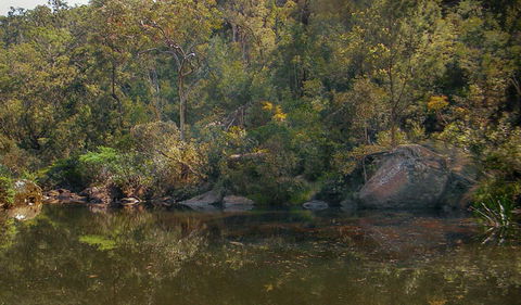 Blue Pool Walking Track - 1 Gold Coast 0