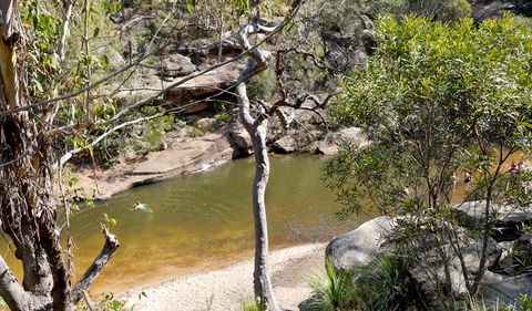 Glenbrook Gorge Track - 1 Gold Coast 1