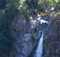 Lyrebird Falls walking track - Accommodation Gold Coast
