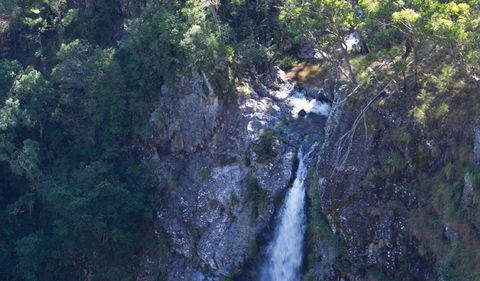 Lyrebird Falls Walking Track - Accommodation Gold Coast 0