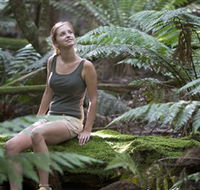 Barrington Tops National Park - Honeysuckle Forest Track - Accommodation Gold Coast