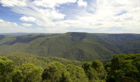 Barrington Tops National Park - 1 Gold Coast 0