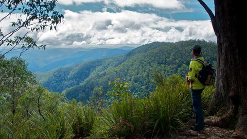 Barrington Tops National Park - 1 Gold Coast 3