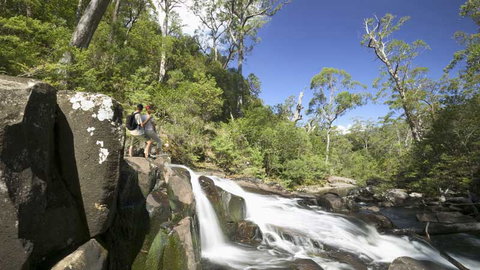 Barrington Tops National Park - 1 Gold Coast 2