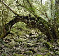 Mitchell River National Park - Accommodation Gold Coast