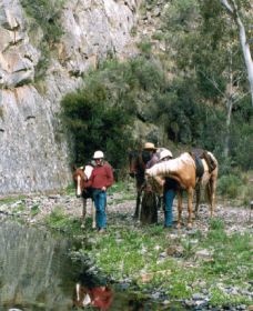 Yarramba Horse Riding - Accommodation Gold Coast 0