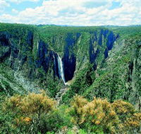 Wollomombi Falls - Accommodation Gold Coast