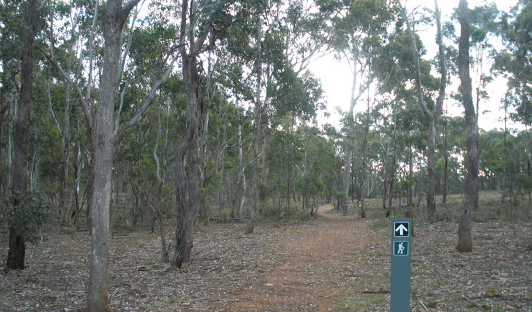  Accommodation Gold Coast