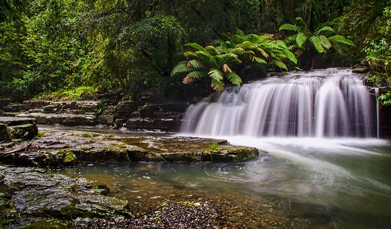 Salisbury NSW Gold Coast 4U