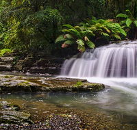 Rocky Crossing walk - Gold Coast 4U