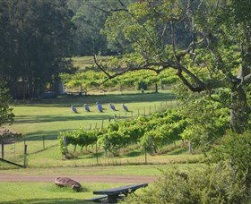 Wollombi Wines - Accommodation Gold Coast 8