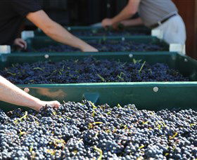 Around Hermitage Wine And Food Trail Hunter Valley - Gold Coast 4U 6