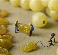 Hunter Valley Wine School - Accommodation Gold Coast