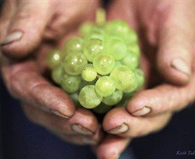 Keith Tulloch Wine - 1 Gold Coast 1