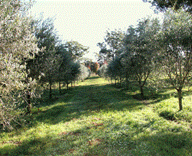 Langdale Farm - Accommodation Gold Coast