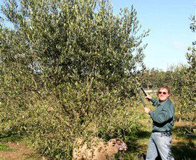 Langdale Farm - 1 Gold Coast 3