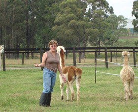 Langdale Farm - 1 Gold Coast 4