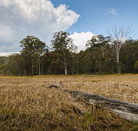 Mummel Gulf National Park - Accommodation Gold Coast