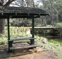 Barrington Tops State Forest - Accommodation Gold Coast