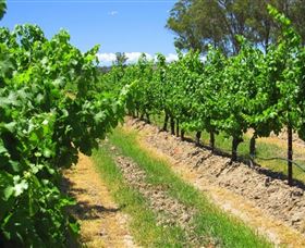 Misty Glen Wines And Cottage - Accommodation Gold Coast 1