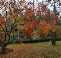 Bellbird Cottage - Accommodation Gold Coast