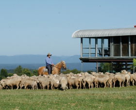 Tobruk Sydney - Accommodation Gold Coast 0
