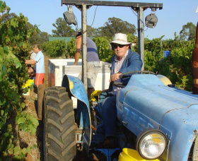 Pokolbin Brothers Wines Hunter Valley - Accommodation Gold Coast 1