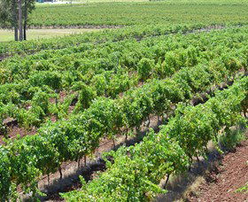 Pokolbin Brothers Wines Hunter Valley - Accommodation Gold Coast 0