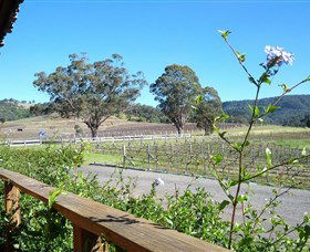 Drayton's Family Wines - Accommodation Gold Coast 2