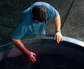 Calais Estate Wines - 1 Gold Coast 2