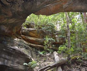 Cave Creek Walking Track - Accommodation Gold Coast 0