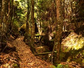 Cave Creek Walking Track - Accommodation Gold Coast 2
