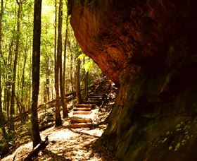 Cave Creek Walking Track - Accommodation Gold Coast 1