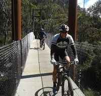 McGees Cycling Store - 1 Gold Coast