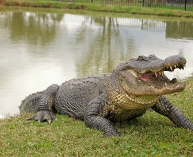 Hunter Valley Zoo - Accommodation Gold Coast 1