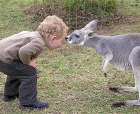 Hunter Valley Zoo - Accommodation Gold Coast 3