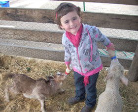Hunter Valley Zoo - Accommodation Gold Coast 4