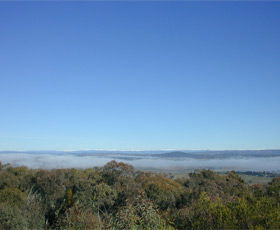 Mount Gladstone - Accommodation Gold Coast 0