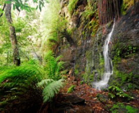 Fairy Bower Falls - 1 Gold Coast 0
