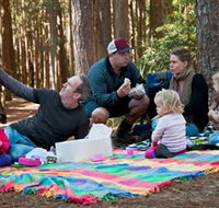 State Forests of the Watagan Mountains - Accommodation Gold Coast