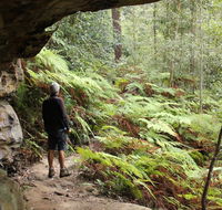 Dharug National Park - Accommodation Gold Coast