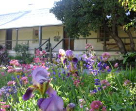 Raglan Gallery And Cultural Centre - Accommodation Gold Coast 0