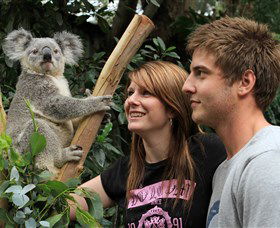 Featherdale Wildlife Park - 1 Gold Coast 0