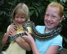 Featherdale Wildlife Park - 1 Gold Coast 2
