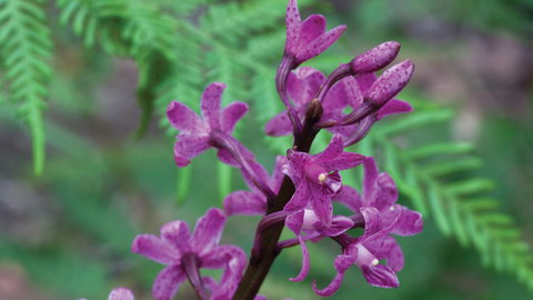 Oxley Wild Rivers National Park - Accommodation Gold Coast 3