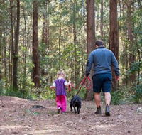 Olney State Forest - Watagan Mountains - Accommodation Gold Coast