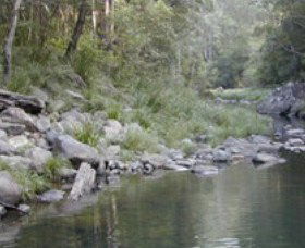 Bellthorpe National Park - 1 Gold Coast 1