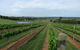 Razorback Ridge Wines - thumb 1